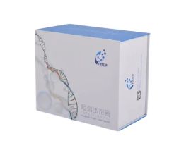 大鼠CXC趨化因子配體1(CXCL1)elisa檢測試劑盒
