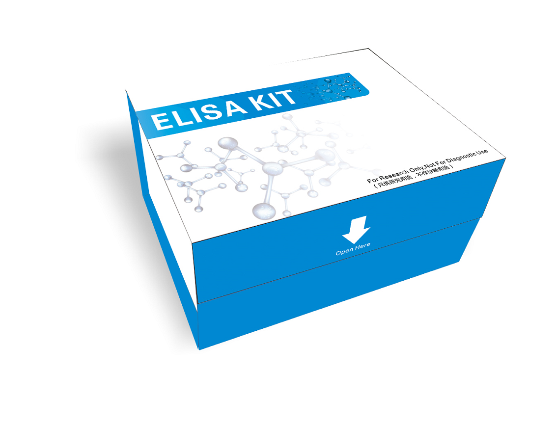 大鼠白细胞介素2（IL-2）elisa试剂盒